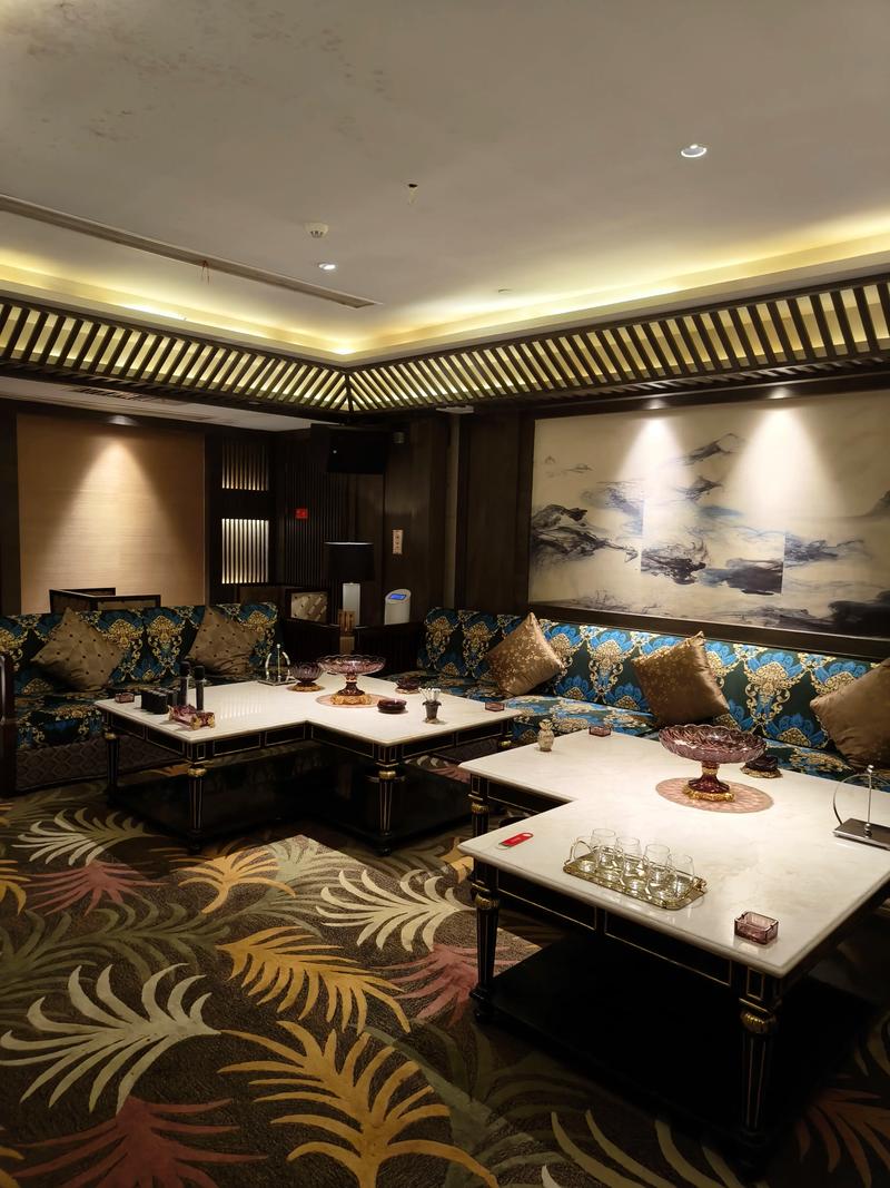 驻马店商务KTV，了解一下什么意思-正阳县ktv预订